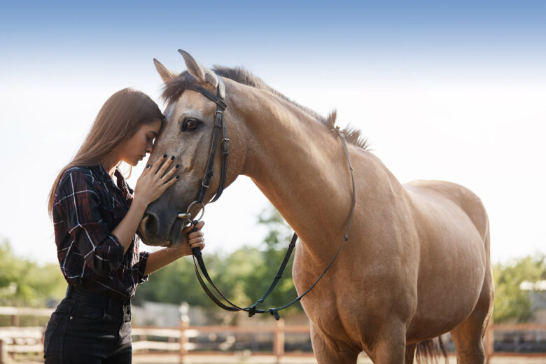 Galloping Toward Recovery Horses As Partners In Rehabilitation