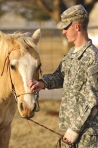 Horses As Healers How Equineassisted Therapy Transforms Lives