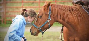 Horsing Around For Healing The Science Of Equineassisted Therapy