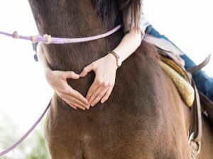 Riding Toward Wellness Equine Therapy And Its Benefits